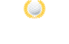 Palmer Colonial Logo